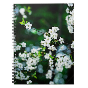 cherry-blossoms-white-01-60v.jpg spiral notebook