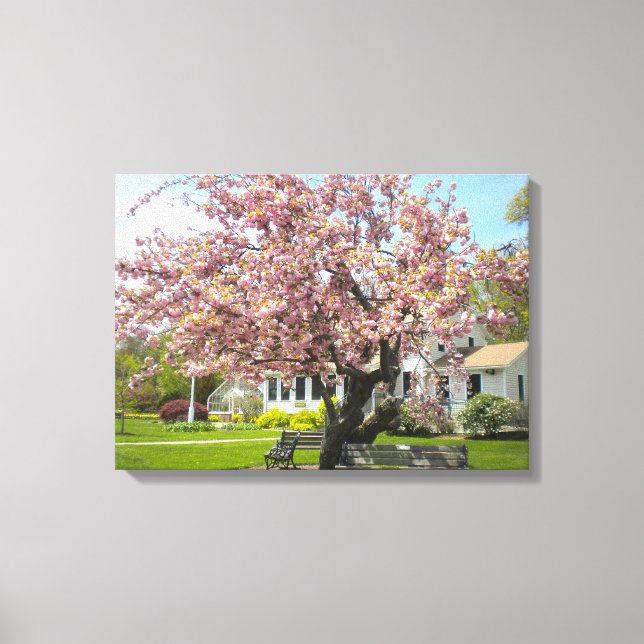 Cherry Blossoms Wrapped Canvas (Front)