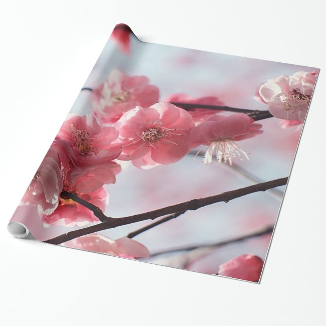 Cherry Blossoms Wrapping Paper (Unrolled)