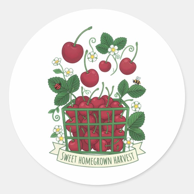 Cherry Fruit Food Prunus Sweet Basket  Classic Round Sticker (Front)