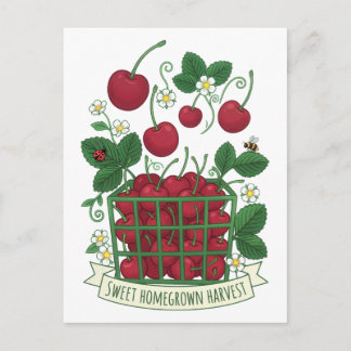 Cherry Fruit Food Prunus Sweet Basket  Postcard