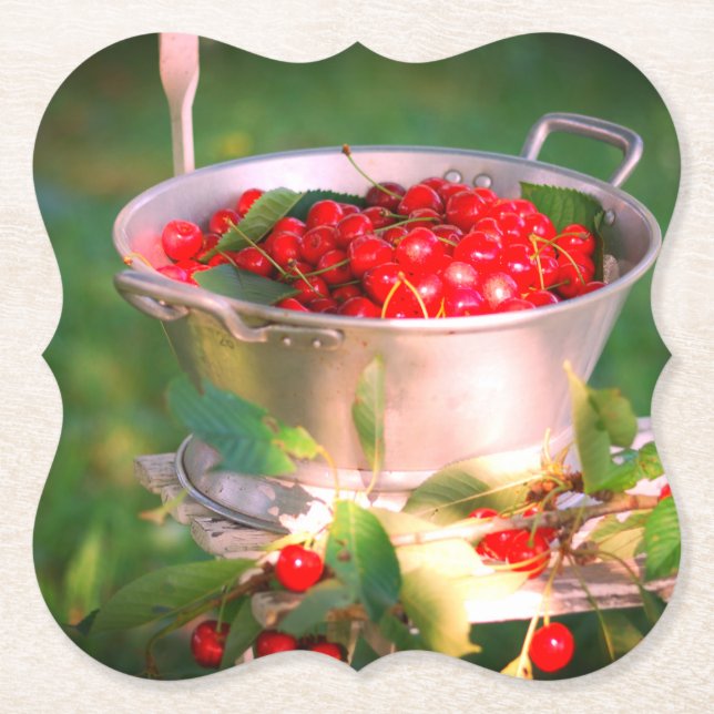 Cherry harvest,Cottage garden Rosalinde Paper Coaster (Front)