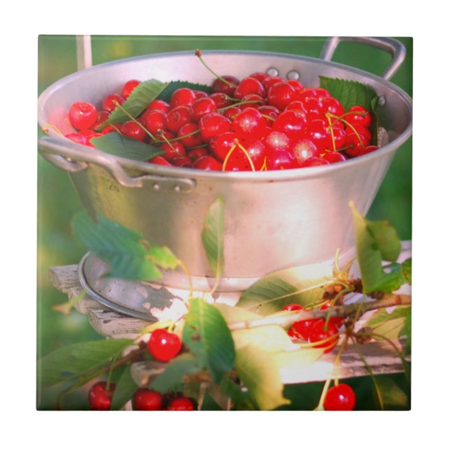 Cherry harvest,Cottage garden Rosalinde Tile (Front)