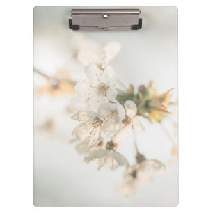 Cherry Nature Photo Clipboard