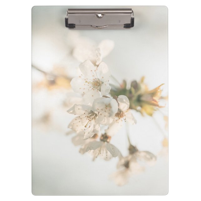 Cherry Nature Photo Clipboard (Front)