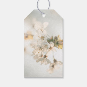 Cherry Nature Photo Gift Tags