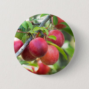Cherry plum on branch 6 cm round badge