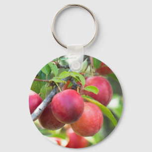 Cherry plum on branch key ring