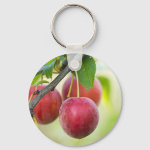Cherry plum on branch key ring