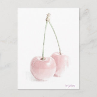 Cherry Postcard