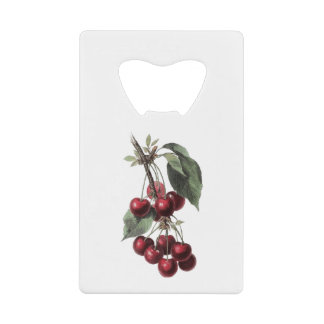 CHERRY RETRO