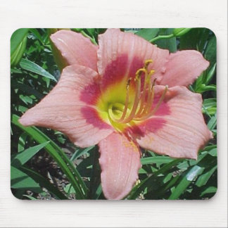 Cherry Smash Daylily Mouse Pad