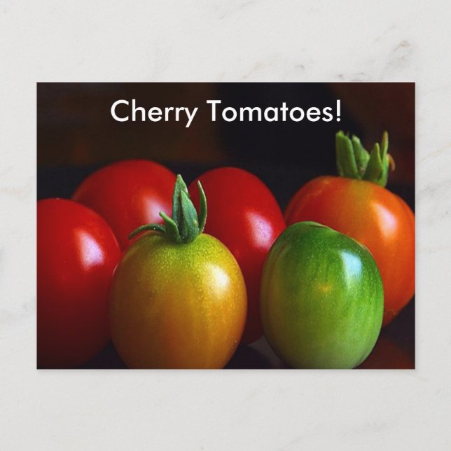 Cherry Tomatoes Postcard (Front)