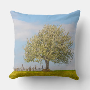 Cherry Tree In Spring Cushion