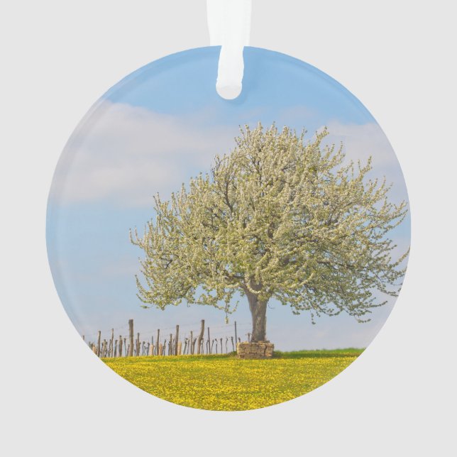 Cherry Tree In Spring Ornament (Back)