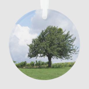 Cherry Tree In Summer Ornament