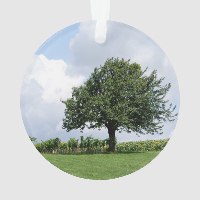 Cherry Tree In Summer Ornament (Back)