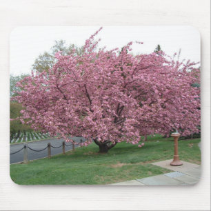 Cherry Tree Mouse Pad