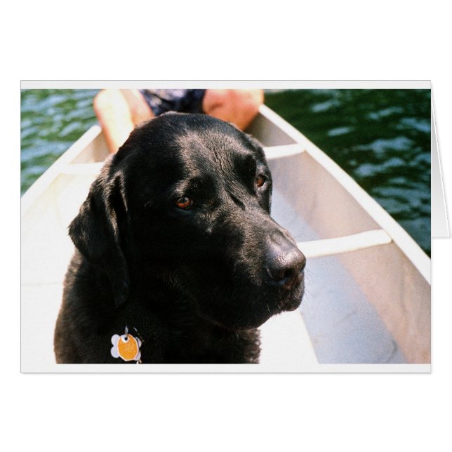 Chert Dog (Front Horizontal)