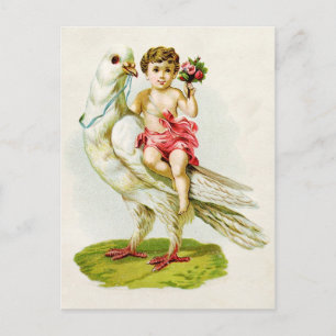 Cherub with Roses Riding a Dove Postcard