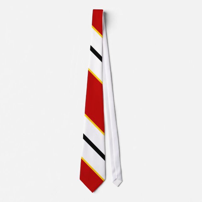 Chesapeake Armour Tie (Front)