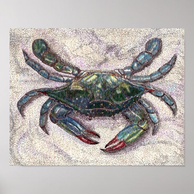 Chesapeake Bay Blue Crab Poster (Front)