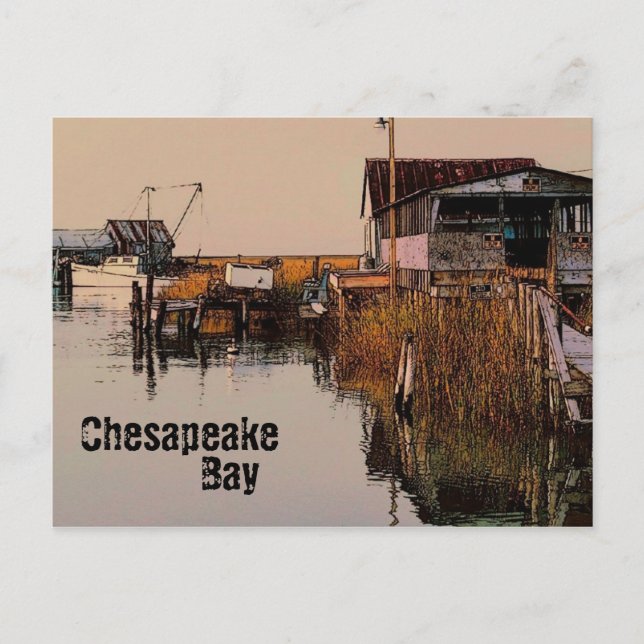 Chesapeake Bay Postcard (Front)