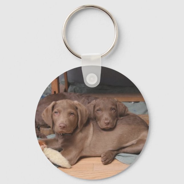 Chesapeake Bay Recover Key Ring (Front)