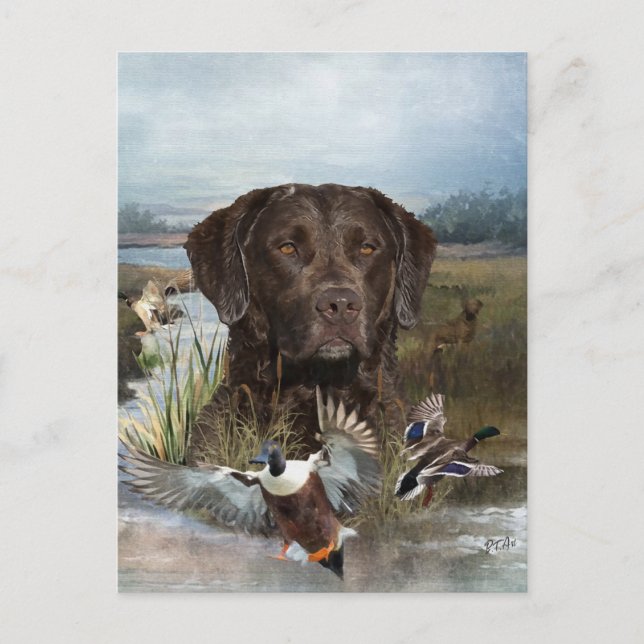 Chesapeake Bay Retriever, Art  Holiday Postcard (Front)