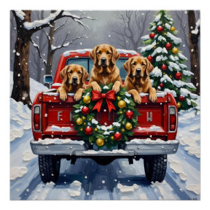 Chesapeake Bay Retriever Christmas Red Truck  Poster