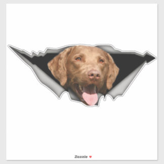 Chesapeake Bay retriever decal, Dog Sticker