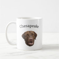 Chesapeake Bay Retriever dog