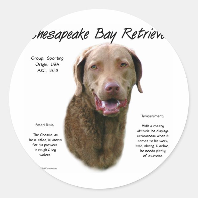Chesapeake Bay Retriever History Design Classic Round Sticker (Front)