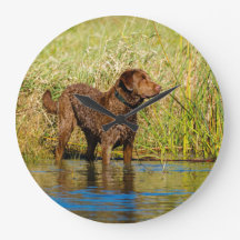 Chesapeake Bay Retriever Hunting Dog Wall Clock