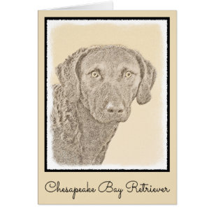 Chesapeake Bay Retriever Painting Original Dog Art