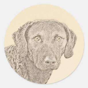 Chesapeake Bay Retriever Painting Original Dog Art Classic Round Sticker