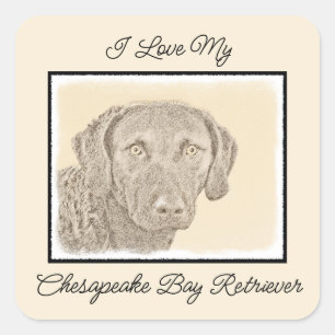 Chesapeake Bay Retriever Painting Original Dog Art Square Sticker