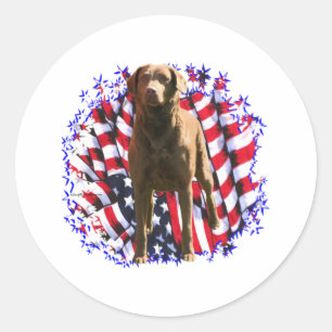 Chesapeake Bay Retriever Patriot Classic Round Sticker