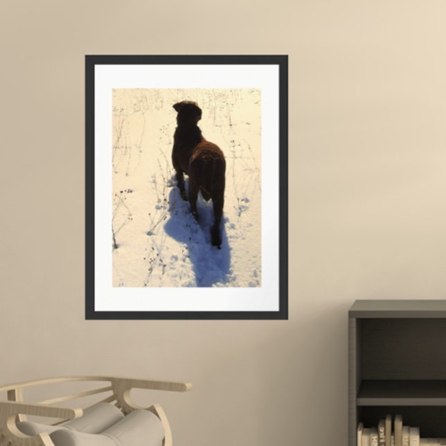 Chesapeake Bay Retriever Poster (Creator Uploaded)