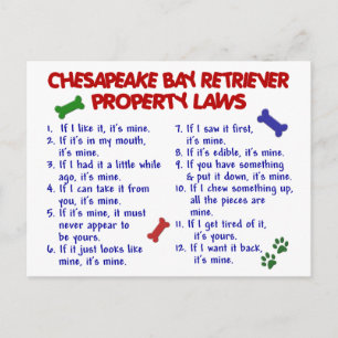 CHESAPEAKE BAY RETRIEVER Property Laws 2 Postcard