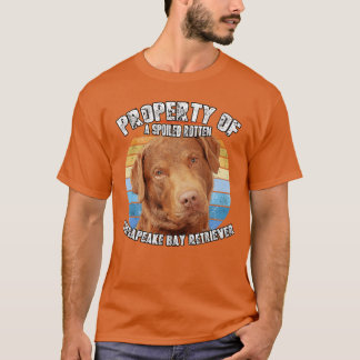 Chesapeake Bay Retriever Property Of boy vintage f T-Shirt