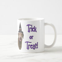 Chesapeake Bay Retriever Trick