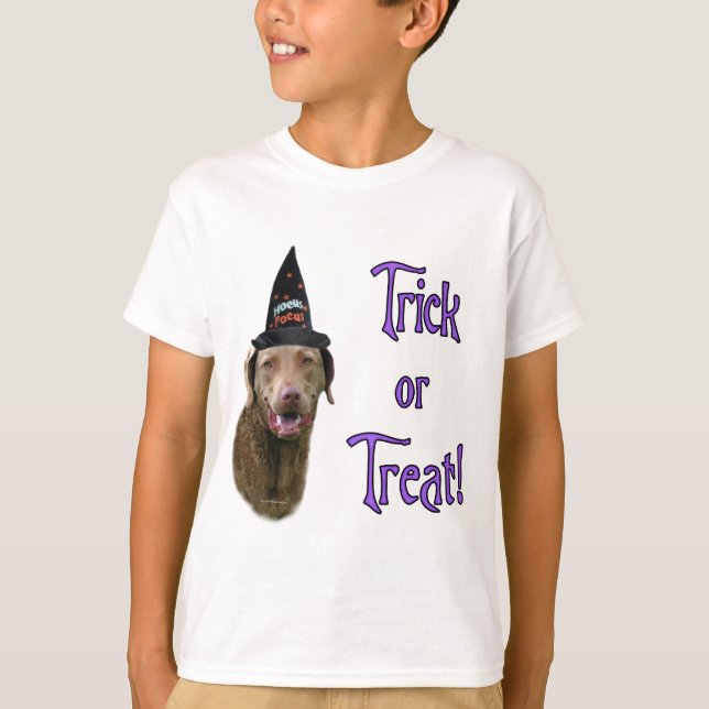 Chesapeake Bay Retriever Trick T-Shirt (Front)