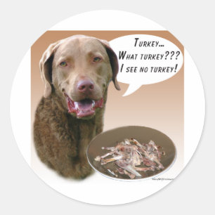 Chesapeake Bay Retriever Turkey Classic Round Sticker