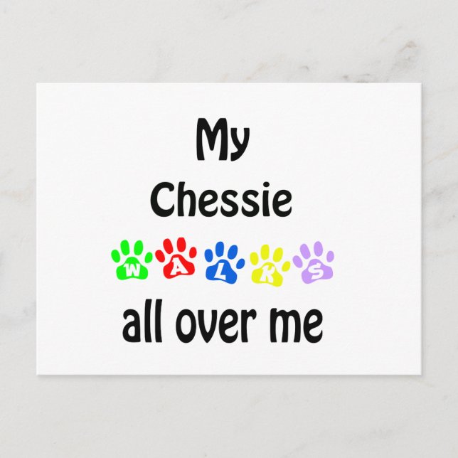 Chesapeake Bay Retriever Walks Design Postcard (Front)