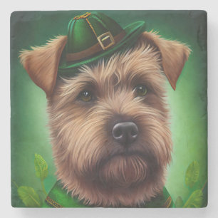 Chesapeake Bay Terrier in St. Patrick's Day Dress Stone Coaster