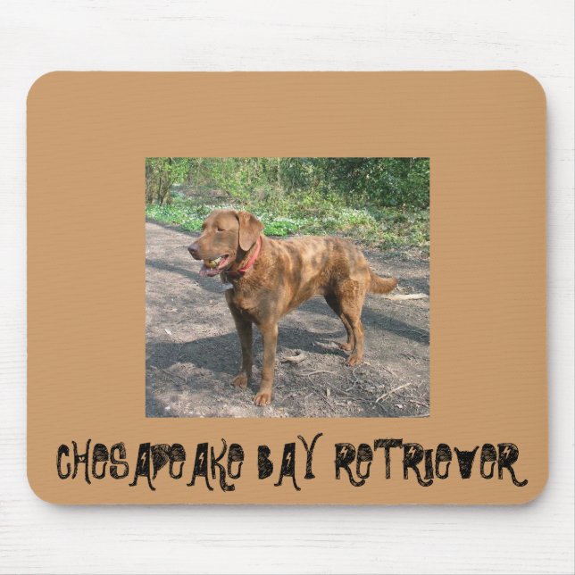 Chesapeakebay retriever mouse pad (Front)