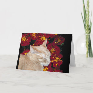 Cheshire Kitten in Marigolds Card
