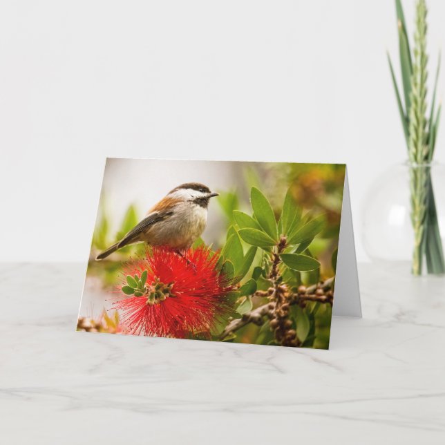 Chesnut-backed Chickadee Thank You Card (Front)