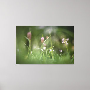 Chess Flower Nature Photo Canvas Print